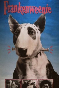 Cartel del mediometraje Frankenweenie de 1984.